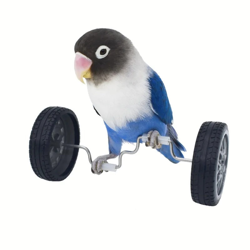 צעצוע גלגלים לתוכי